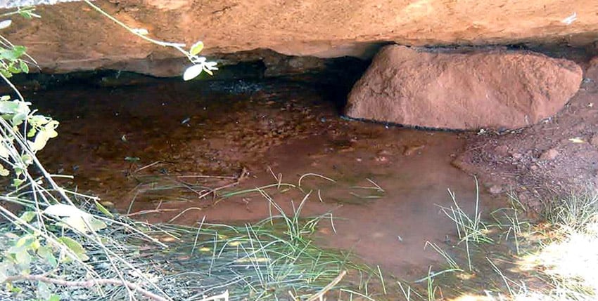 Twyfelfontein spring under rock, Namibia