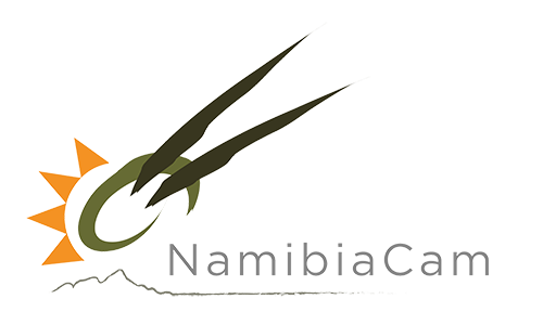 The Namibia Wildlife Livestream