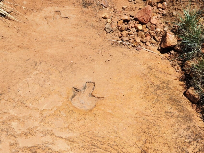 The Kalkfeld Dinosaur Tracks, one of Namibia's most significant paleontological discoveries