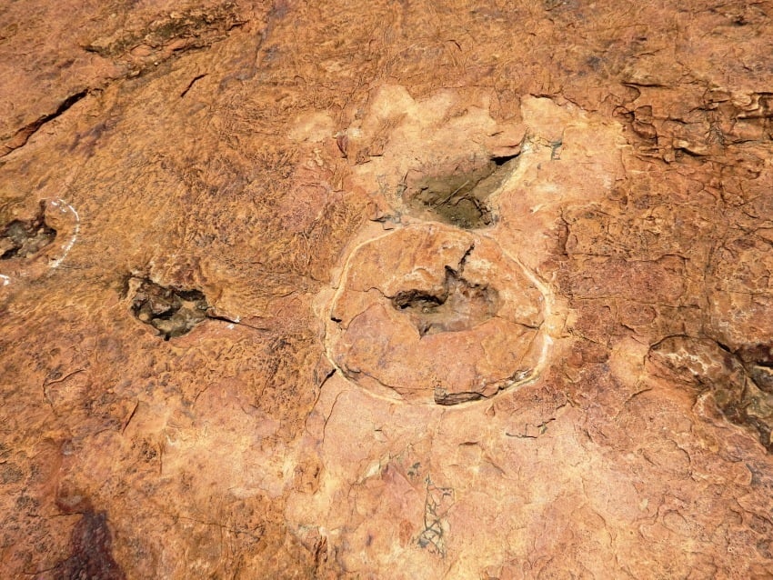 Dinosaur footprints discovered near Mount Etjo, offering a glimpse into Namibia's ancient past.