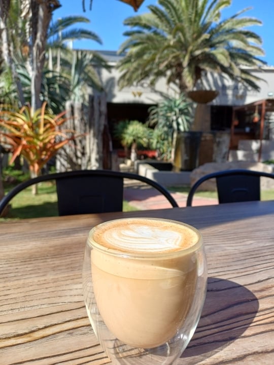 A warm cup of coffee representing Namibia’s growing specialty coffee scene