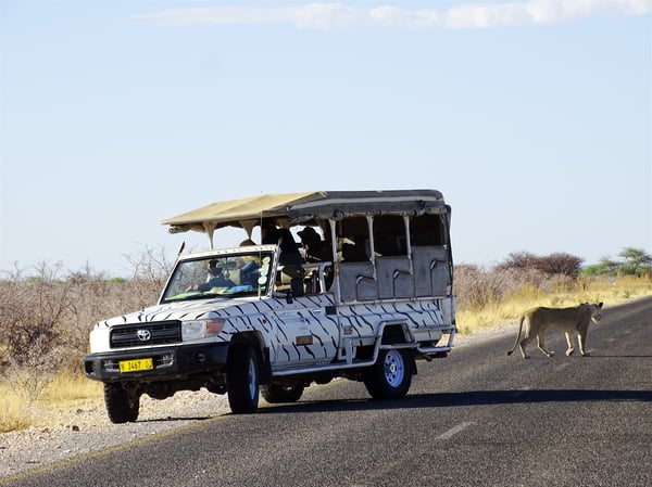 Etosha Game Drive