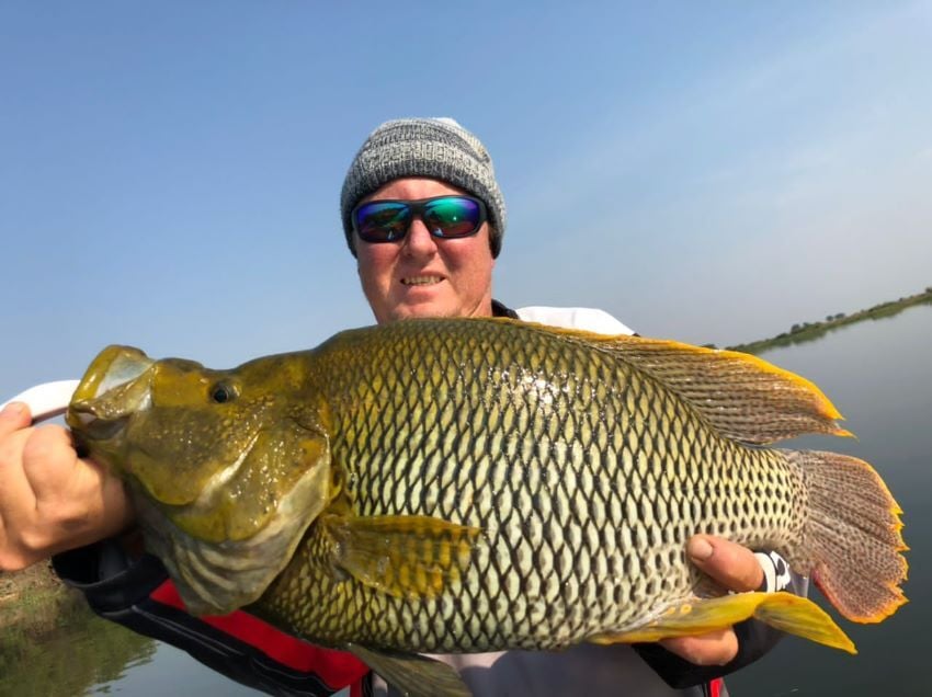 Nembwe fish caught in the Zambezi River.