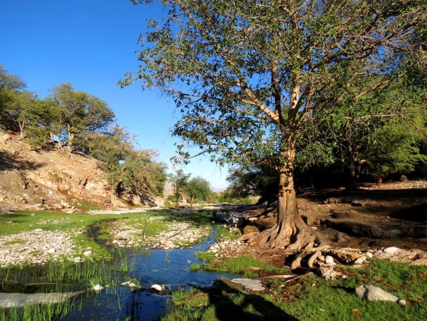 Ongongo Hot Springs in Namibia’s remote Kaokoland. 