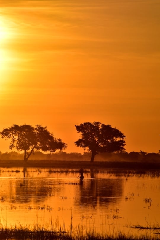 Wide desert horizon lit by golden hour in Namibia