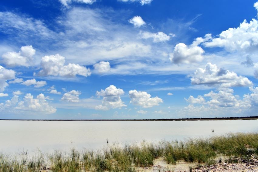 The salt pan in Etosha National Park is large enough to be seen from space.