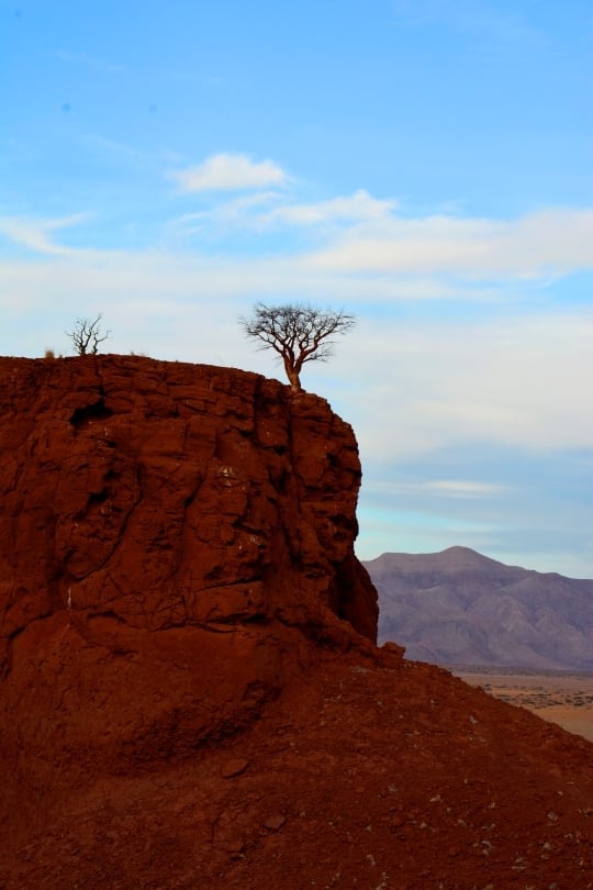 The Namib Sand Sea’s dunes, frozen in time, with soft light highlighting details.