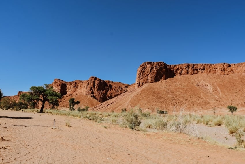 Wind-shaped textures on the Namib Desert’s petrified dunes