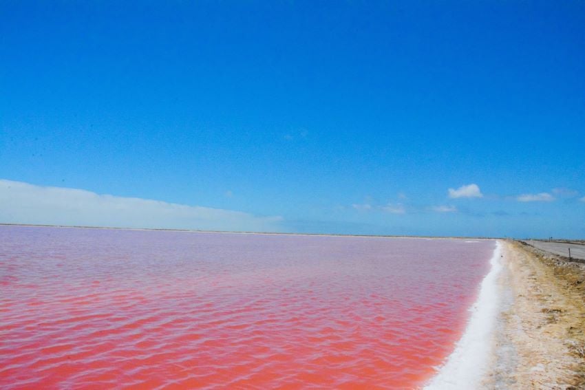 Pink Lake contrasted along blue skies in Walvis Bay, Namibia. 