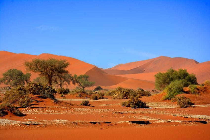 Sossusvlei Desert, Namibia. 