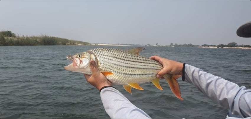 Screenshot_20210919-060933_Gallery