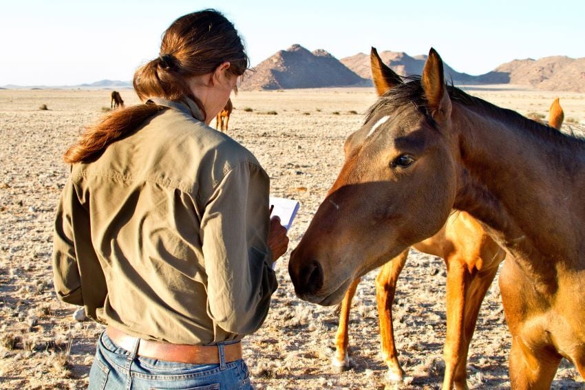 Telane Greyling during one of her routine checkups with the wild horses.