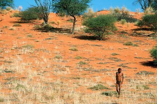 bushman_02