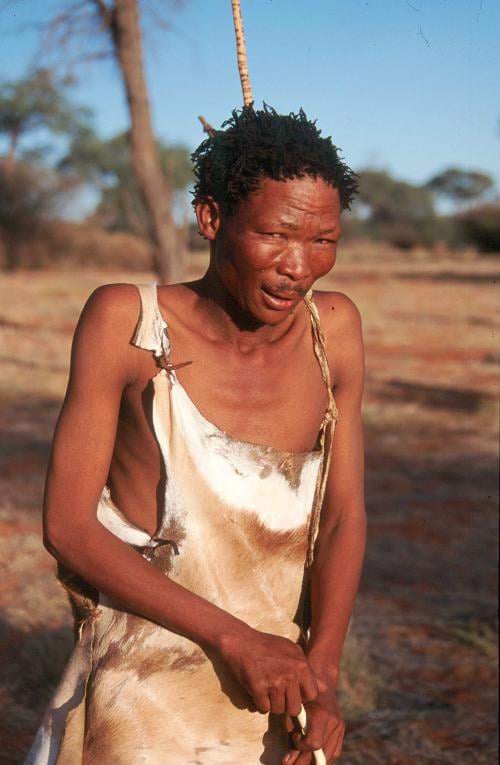 bushman_34