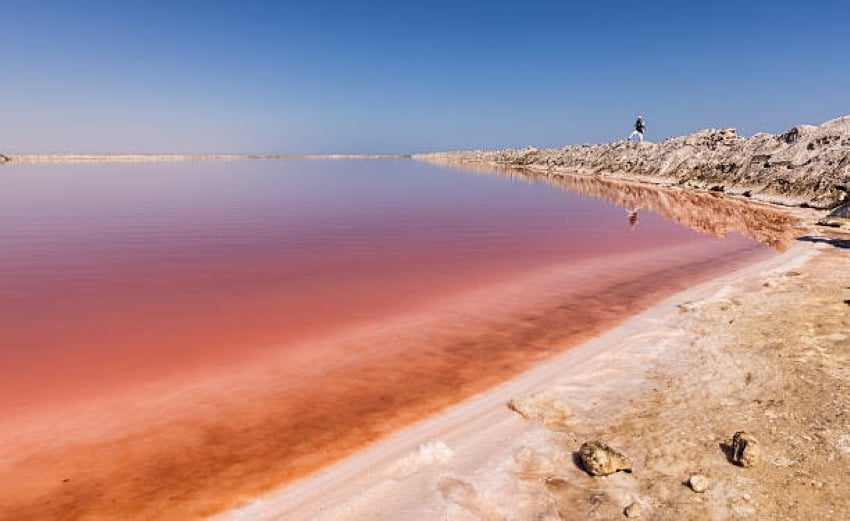 Bright pink salt ponds surrounded by desert and ocean in Namibia