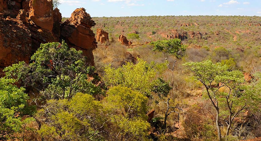 Waterberg, lush green vegetation, Namibia