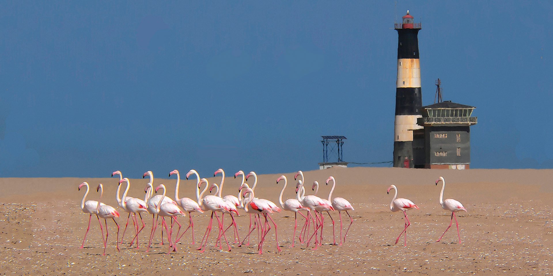 Flamingoes in front of lighthouse at the Namibian cost