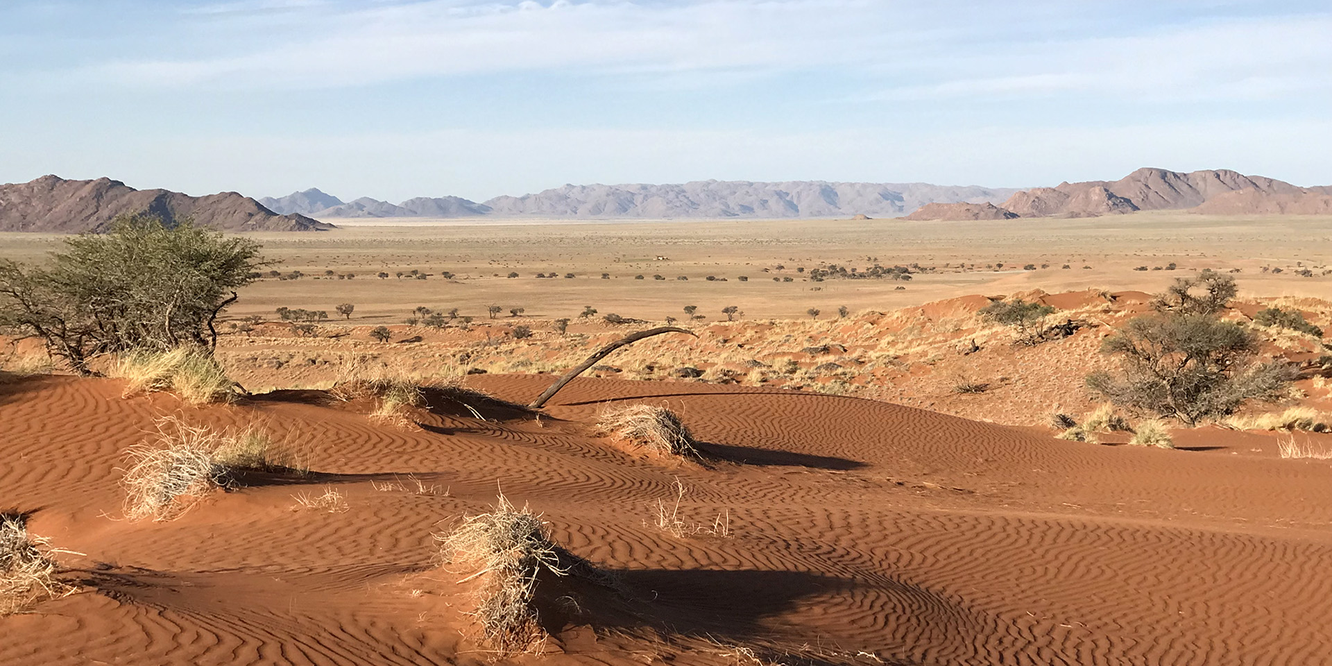 Namib-Naukluft landscape, red sand, yellow grass, Namibia