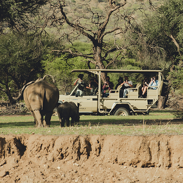 Game Drives, Namibia, photo: Emidio Horaeb