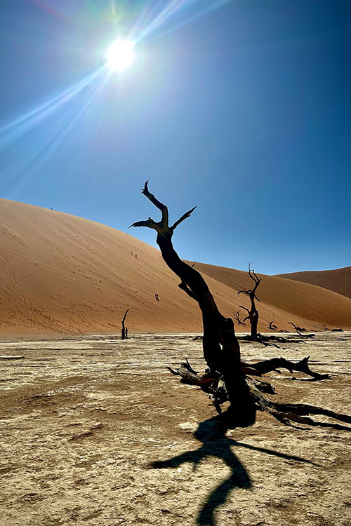 Sossusvlei, Deadvlei, Namibia_Marc & Nell Jones