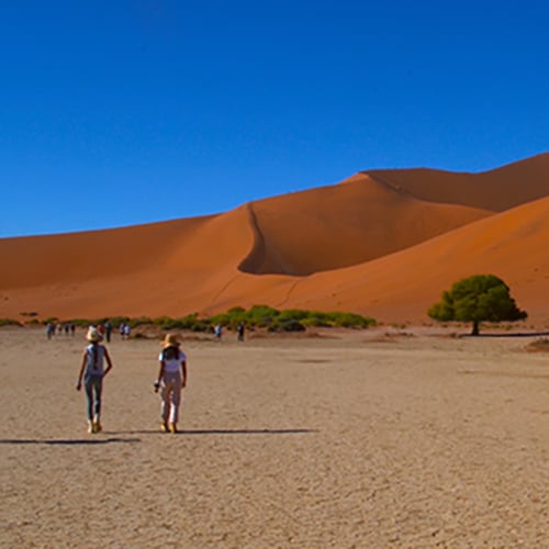 Destinations, Sossusvlei, Namibia, photo by Little Travel Society