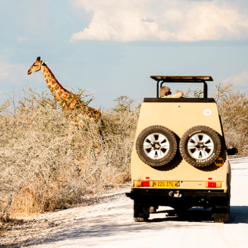 Safaris & Activities, Namibia, photo by Helder&Fana