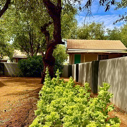 Sustainability, Damara Mopane Lodge, vegetable garden, Namibia_photo by Marc & Nell Jones