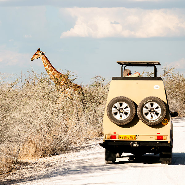 Etosha, giraffe, 4x4, Namibia, photo by Helder & Fana