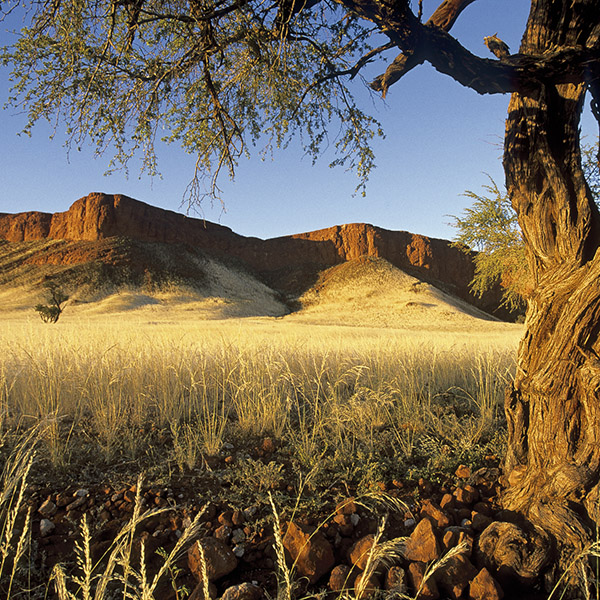 Namib-Naukluft, fossilised dunes, Namibia
