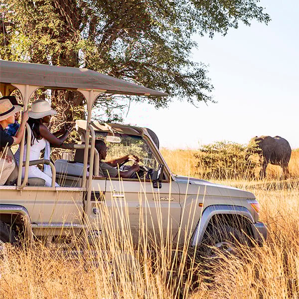 Scheduled Group Tour, game drive, elephant, Namibia