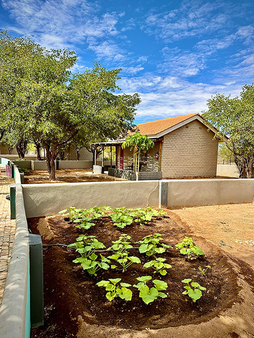 Damara Mopane Lodge, sustainable garden, Namibia