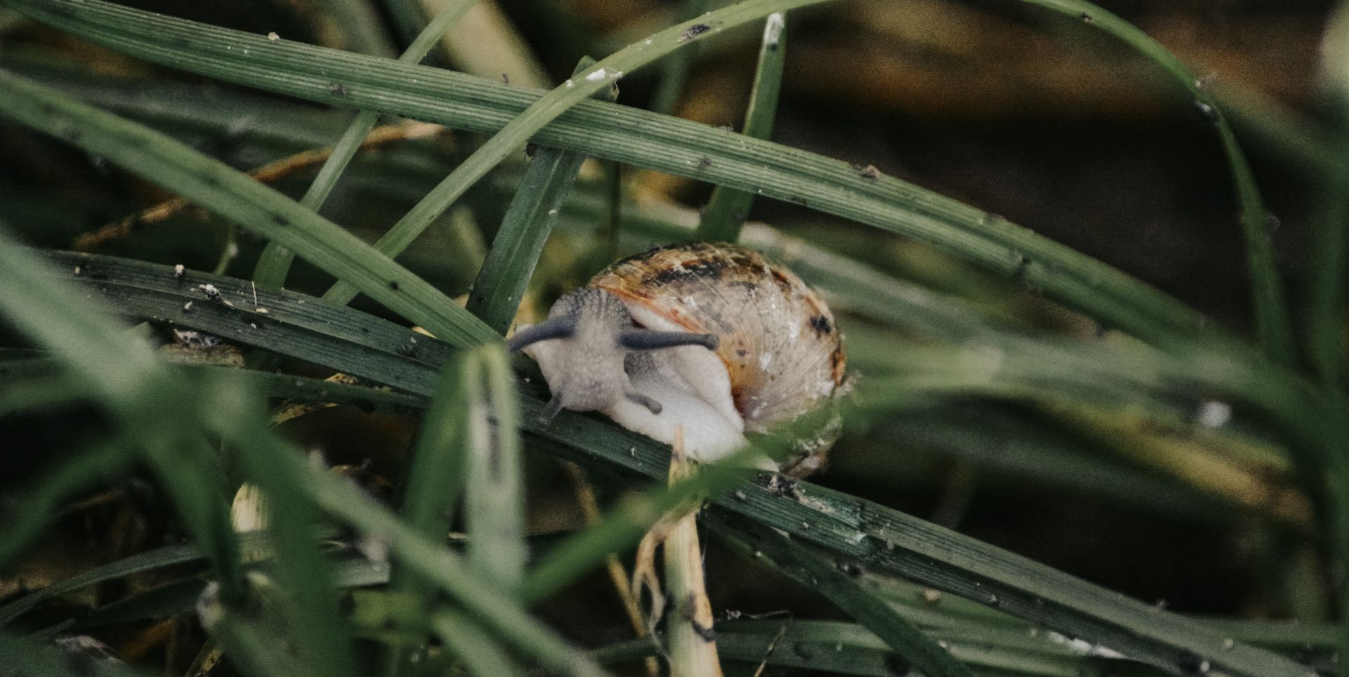 A scenic view of the Namsnails farm just outside Swakopmund, Namibia.
