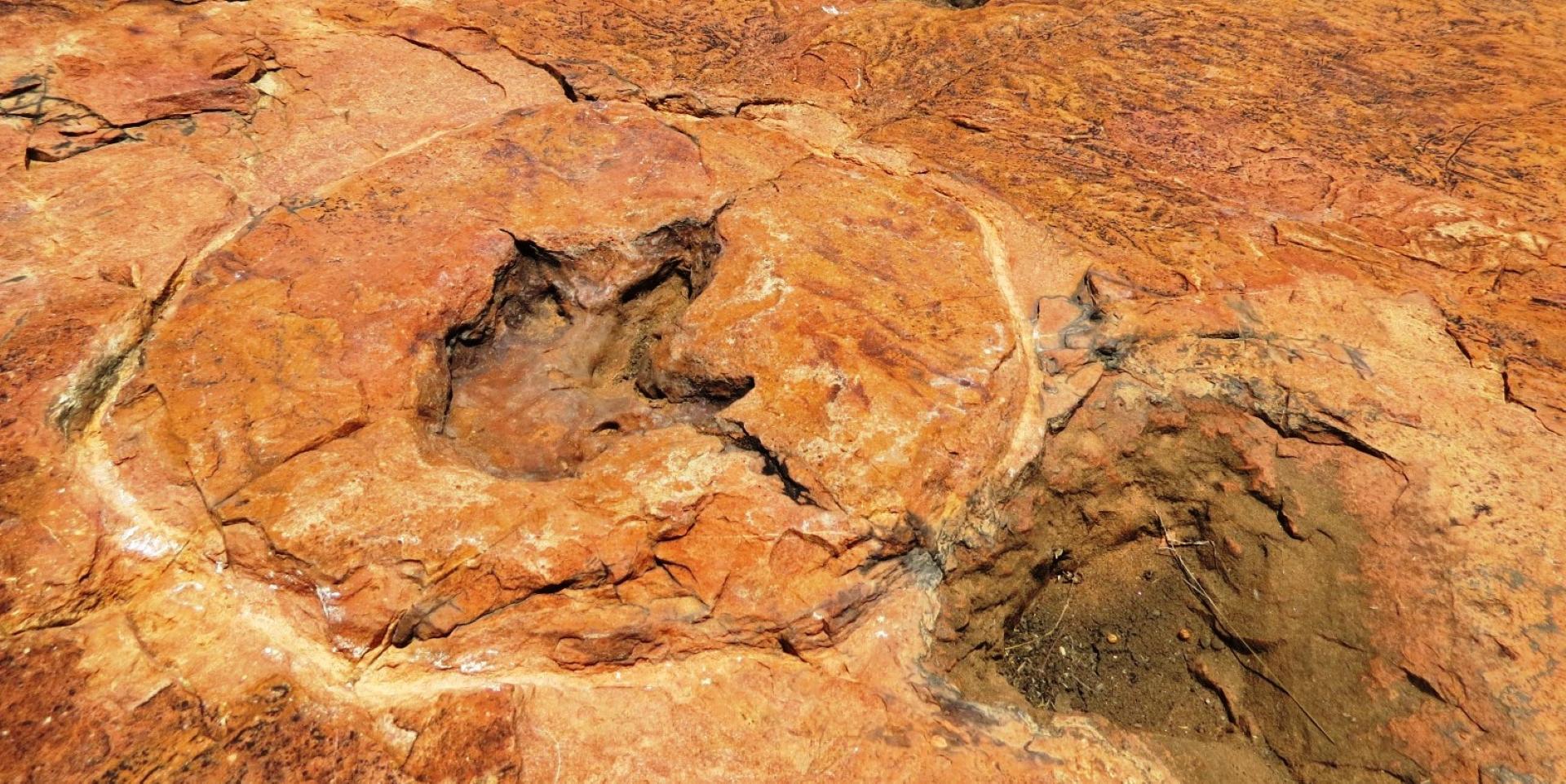 Ancient dinosaur tracks etched into Etjo Sandstone at the Otjihaenamparero fossil site.