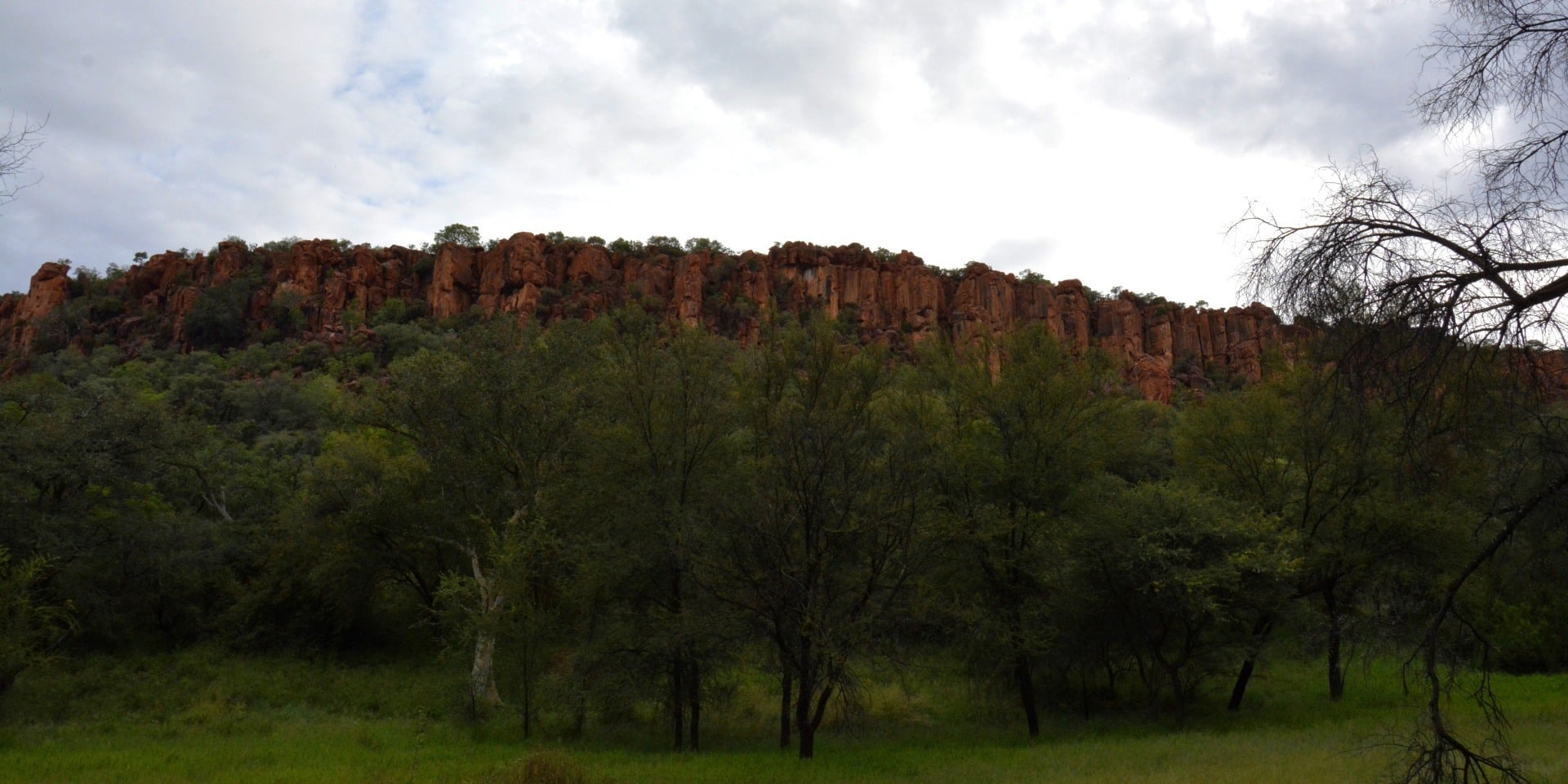 Waterberg Plateau towering above the Namibian bushveld