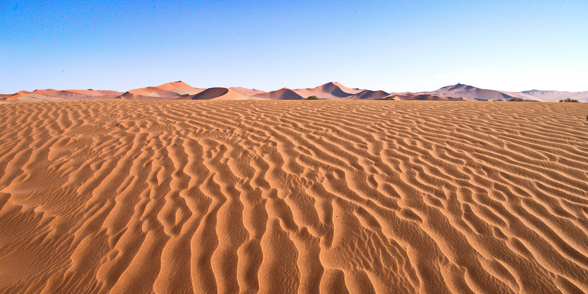 Desert sand and dunes, Namibia