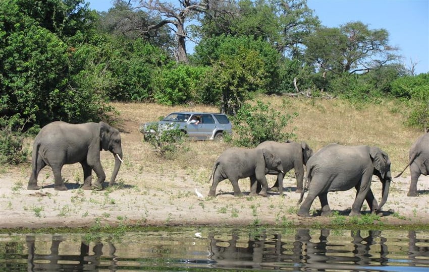 Chobe -1