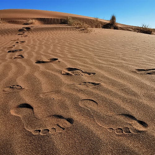 Footprints in the Namib Desert