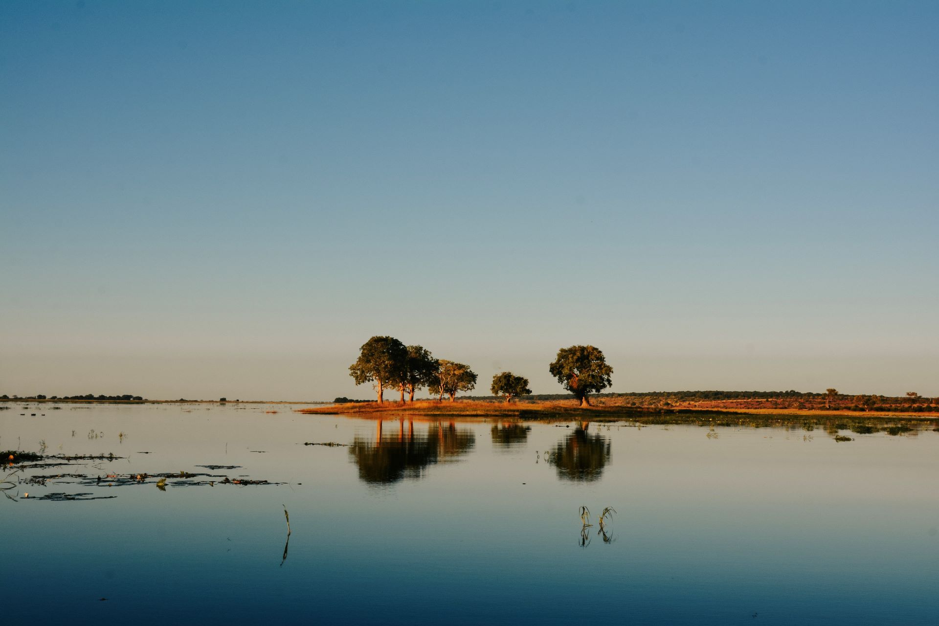 A tranquil landscape of the Caprivi Strip in Namibia, showing calm reflective waters, sparse trees on a small island, and a clear blue sky at sunset.