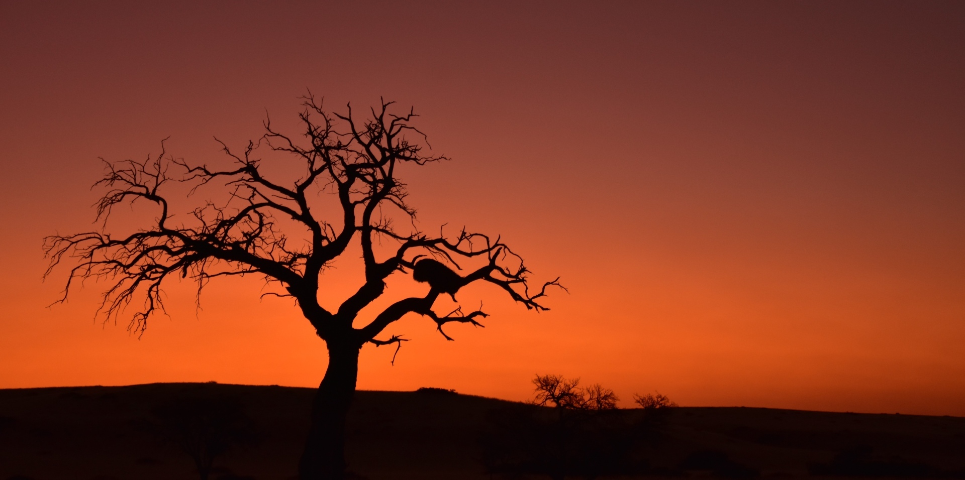 Vibrant Namibian sunset with orange, red, and purple hues across the sky