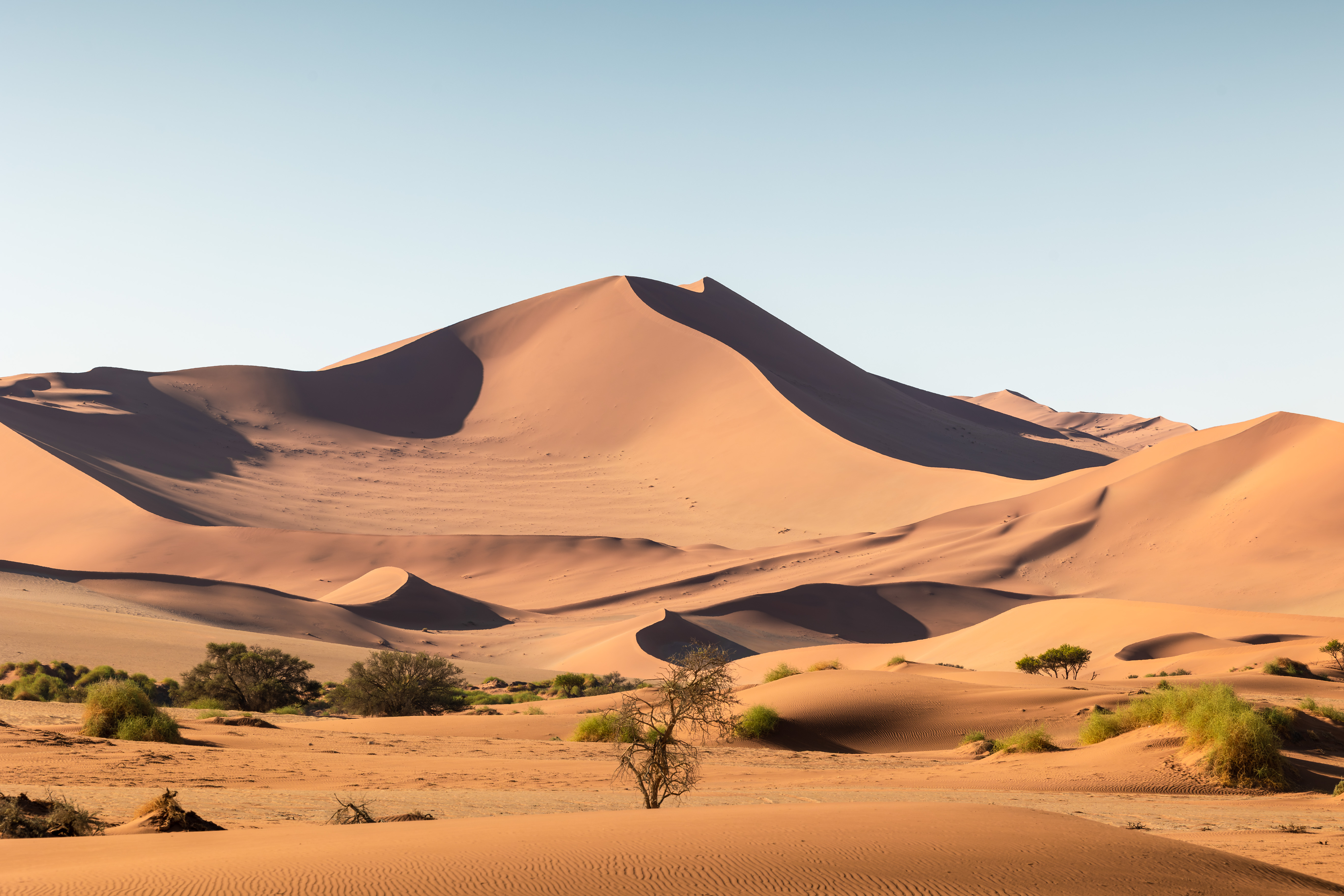 PatrickAbraham @wanderingpat_2023_The Desert Grace (18)