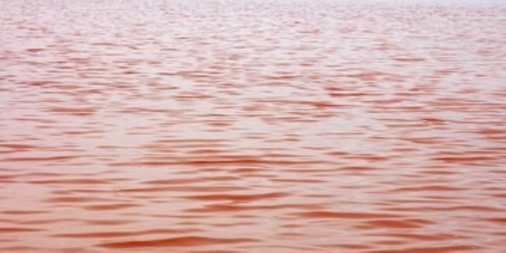 Pink Salt Lakes near Walvis Bay along Namibia’s Atlantic coastline